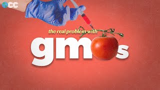 The real problem with GMO Food [upl. by Bernetta]