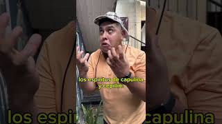 Los nietos con hambre  comedia humor humoristamujer comedy [upl. by Leiahtan]