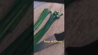 Soup of Chives [upl. by Letch772]