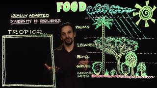 Permaculture Design for Food [upl. by Odeen475]