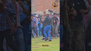 Takanakuy en tacna 🔥takanakuy chumbivilcas cultura folklore chumbivilcastradicion folklore [upl. by Gilligan]