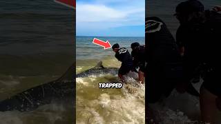 Saving a Trapped Shark Heartwarming Rescue [upl. by Asiak]