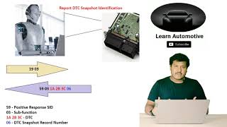 DTC Explained  Read 0x19  Control 0x85 amp Clear 0x14  UDS  Diagnostic Trouble Codes canoe [upl. by Zacks]