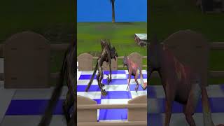 hyena vs rhinoceros tiger hippopotamus bear boar evilhorse fight cartoon video part 1 [upl. by Vallie]