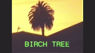 FOALS  Birch Tree Official Lyric Video [upl. by Secilu]