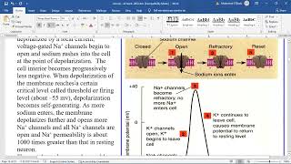 physiology of excitable tissues [upl. by Croft]