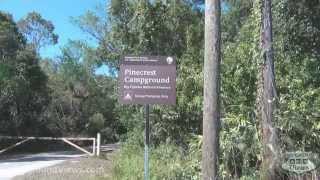 CampgroundViewscom  Pinecrest Campground Big Cypress National Preserve Ochopee Florida FL [upl. by Leksehcey543]