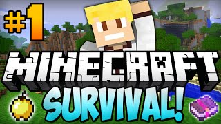 Minecraft Survival Lets Play EP1  quotDIAMONDS ALREADYquot [upl. by Ynatsed930]