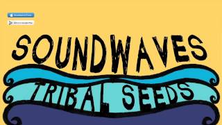 Tribal Seeds  Soundwaves ft Eric Rachmany of Rebelution OFFICIAL AUDIO [upl. by Merc683]