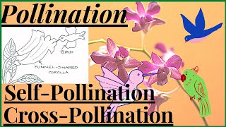 Pollination in Flowering Plants Agents of Pollination Self Pollination and Cross Pollination NEET [upl. by Enialehs483]