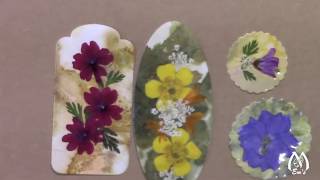 Applying Packing Tape to Pressed Flowers  Demonstration  Tips  Results [upl. by Orten586]