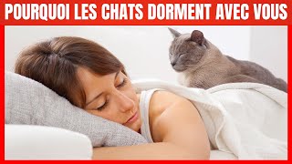 Pourquoi votre Chat dortil avec vous  6 raisons que vous allez ADORER [upl. by Adanama]