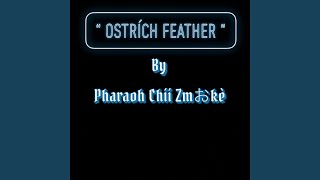 Ostrich Feather [upl. by Schatz]