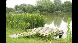 Clavering lakes Nr Saffron Walden Essex UK [upl. by Saudra]