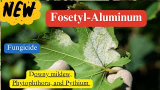 FosetylAluminum Chemistry Mode of Action and Diverse Applications [upl. by Lusa135]