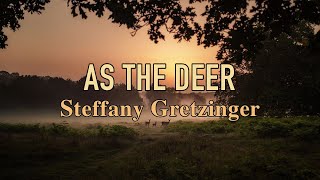 As The Deer  Steffany Gretzinger  Lyric Video [upl. by Mure]