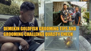 DEMEKIN GOLDFISH GROOMING TIPS AND GROOMING CHALLENGE QUALITY CHECK  GENSAN GROOMING CHALLENGE [upl. by Nanoc123]