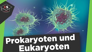 Prokaryoten und Eukaryoten Vergleich  Unterschied ProcytEucyt Prokaryoten und Eukaryoten erklärt [upl. by Bussy656]