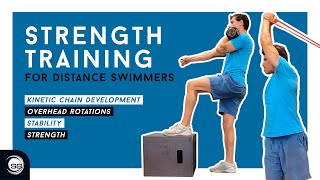 Strength Training for Distance Swimmers  Swimmer Strength [upl. by Olifoet]