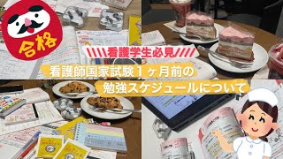 看護学生必見！看護師国家試験１ヶ月前の勉強スケジュールについて [upl. by Esiralc820]