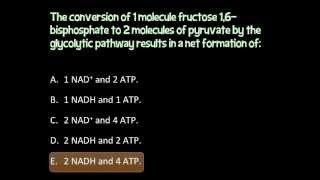 Glycolysis MCQ worksheet [upl. by Delcina]