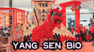 YANG SEN BIO  FESTIVAL NAGA amp BARONGSAI 2024  MAL KOTA KASABLANKA [upl. by Rosenquist]