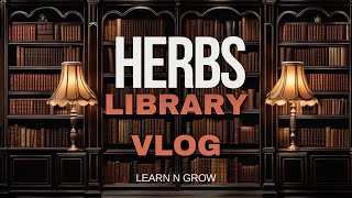 Herbs and Essential Oil Daily Vlog 🌿🖤🥀 [upl. by Forster]