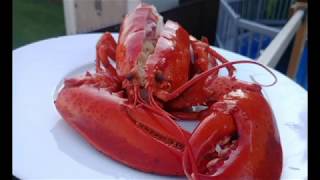 COMMENT CUIRE LE HOMARD créole haitienne [upl. by Aicirtac]