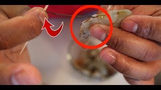 How to Clean Shrimp Like a PROFESSIONAL [upl. by Adi]