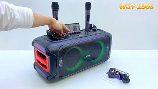 Portable Karaoke Speaker With 2 Wireless Mic For Family Ktv Party [upl. by Fadil]