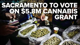 Sacramento expected to accept 58M grant to sustain legal cannabis market [upl. by Siurtemed92]