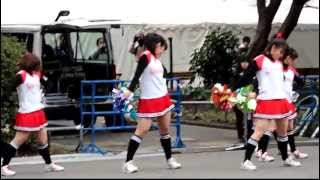 20120226東京マラソン女子美術大学チアダンス [upl. by Weinberg]