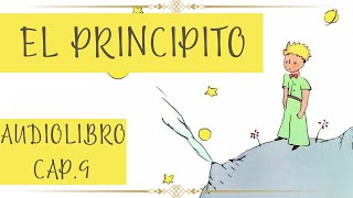 EL PRINCIPITO Cap 9 AUDIOLIBRO [upl. by Asusej]