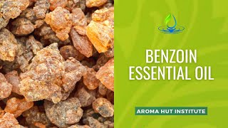 Benzoin Essential Oil  Vanilla Aroma [upl. by Carrick]