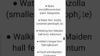 What are the Common names of Pteridophytes Class 11 Biology Chapter 3 [upl. by Immat]