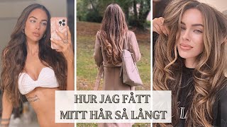 MINA HÅRREGLER  HUR JAG FÅTT MITT HÅR SÅ LÅNGT amp FRISKT [upl. by Alina]