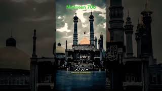 ya Ali meri ID mohseen 706 [upl. by Westbrooke]