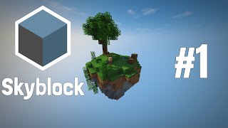 Cubecraft Skyblock Coop Lets Play  Starting Out  Episode 1 [upl. by Ethbun]