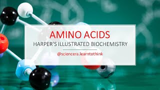 The Complete Guide To Amino Acids Everything You Need To Know Harpers Illustrated Biochemistry [upl. by Oflunra68]