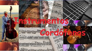 🎹 Instrumentos musicales CORDÓFONOS [upl. by Baxie]