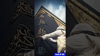 Amazing Fact  30 about Kaaba History of Kaaba in urdu  Hindi  viral shorts shortvideo [upl. by Saval]