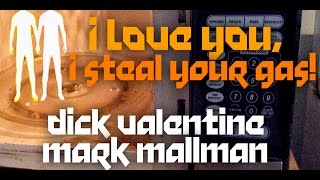 Dick Valentine and Mark Mallman  I Love You I Steal Your Gas [upl. by Acsehcnarf645]