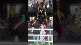 shani trayodashi shani kaki shanitrayodashi shanishingnapur shanidev hyderabad shanitemple [upl. by Doownel849]