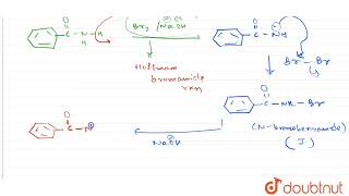 The intermediates which are involved in the conversion from benzamide to A are  11  AROMATI [upl. by Deibel]