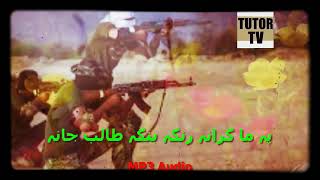 rnga bnga taleb pashto nazam naat tarana nazmona natona song nasheed [upl. by Norel]