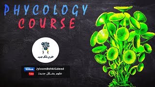 محاضرات كورس Phycology  محاضرة 5 Divisions charophyta bacillariophyta and pyrrophyta [upl. by Aynod]