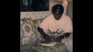 Makaveli  Mista Killuminati unreleased album 1996 check description [upl. by Othella]