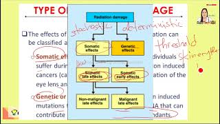 Stochastic Effects vs Deterministic Effects [upl. by Upshaw403]