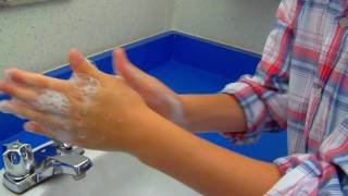 Hand Hygiene The Dirt on Germs [upl. by Ttekcirc]