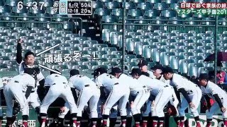 ﾏｽﾀｰｽﾞ甲子園2015【特集Ⅱ】～白球で紡ぐ家族の絆～ [upl. by Jovia841]